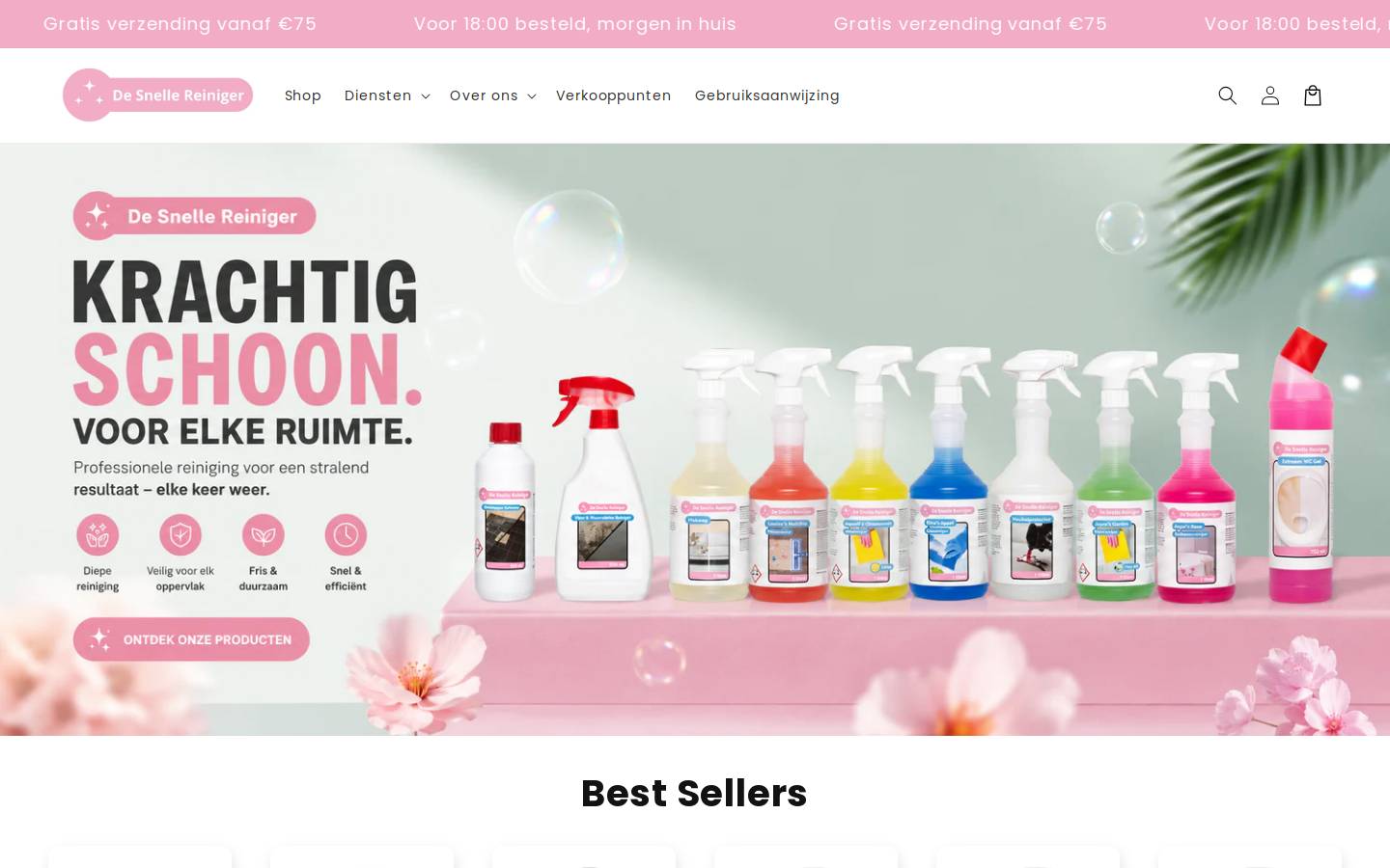 Desnellereiniger homepage screenshot