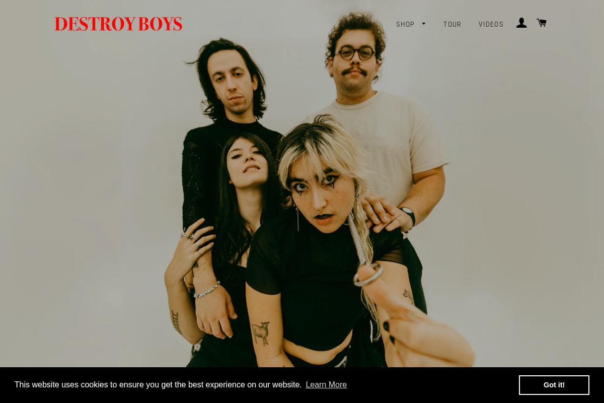 destroyboysstore.com homepage screenshot