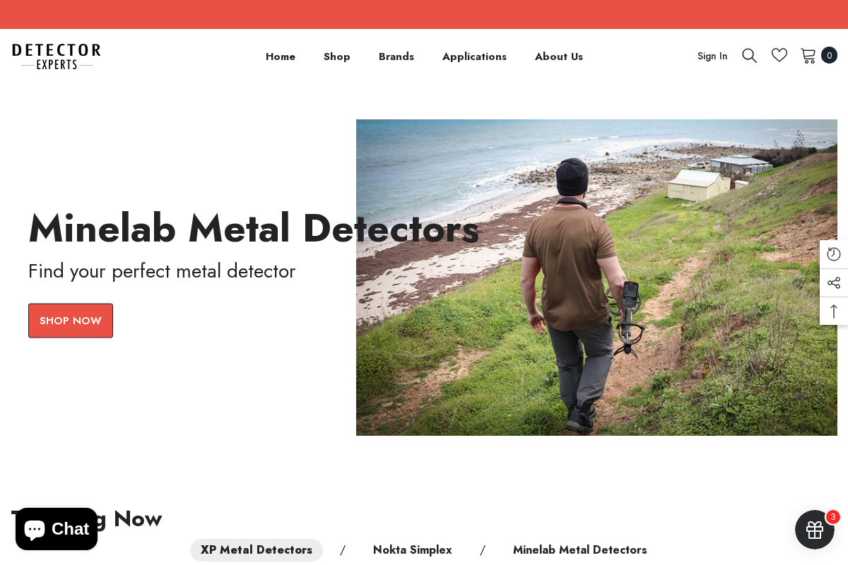Detector Experts homepage screenshot
