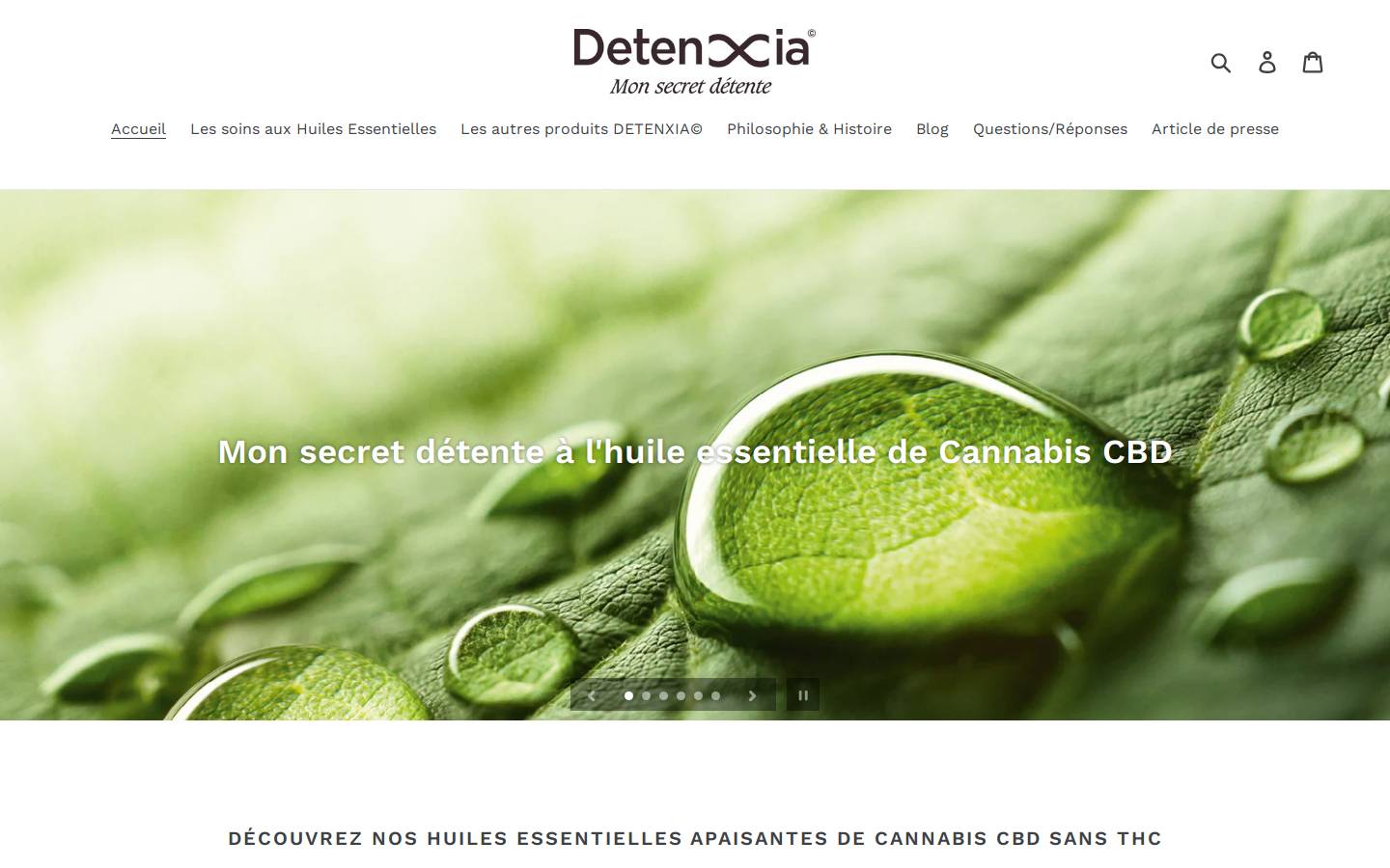 detenxia.com homepage screenshot