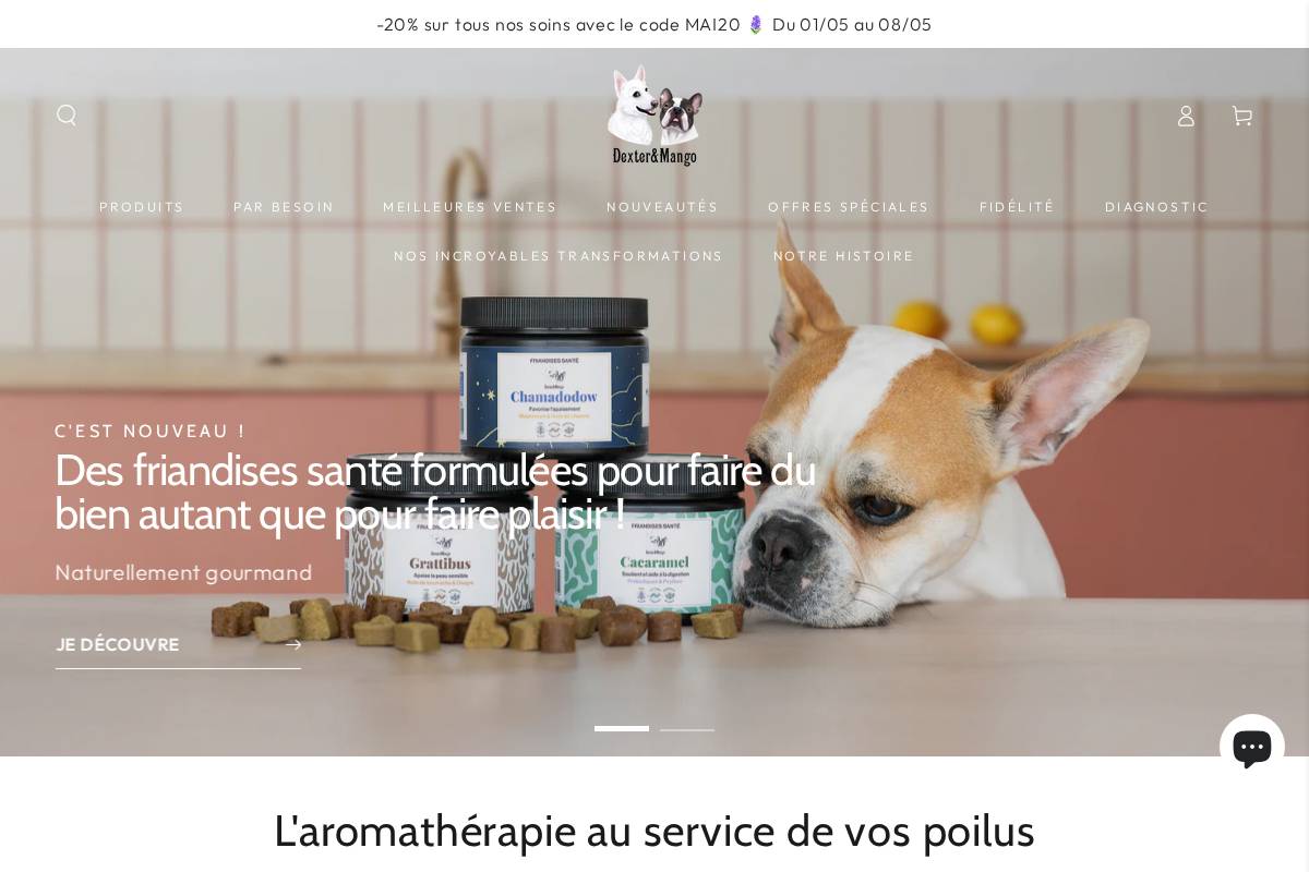 Dexter Et Mango homepage screenshot