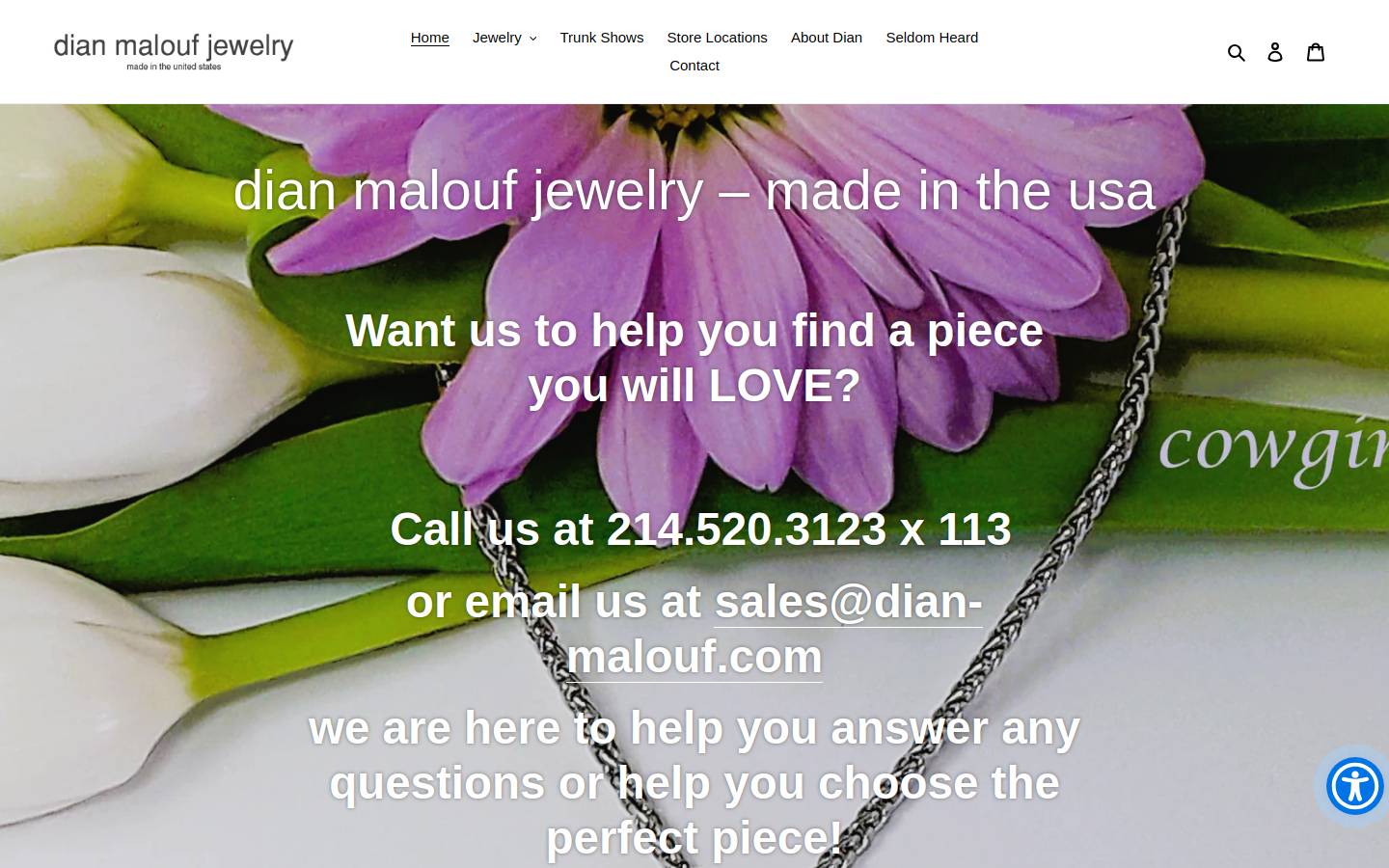 dian-malouf.com homepage screenshot