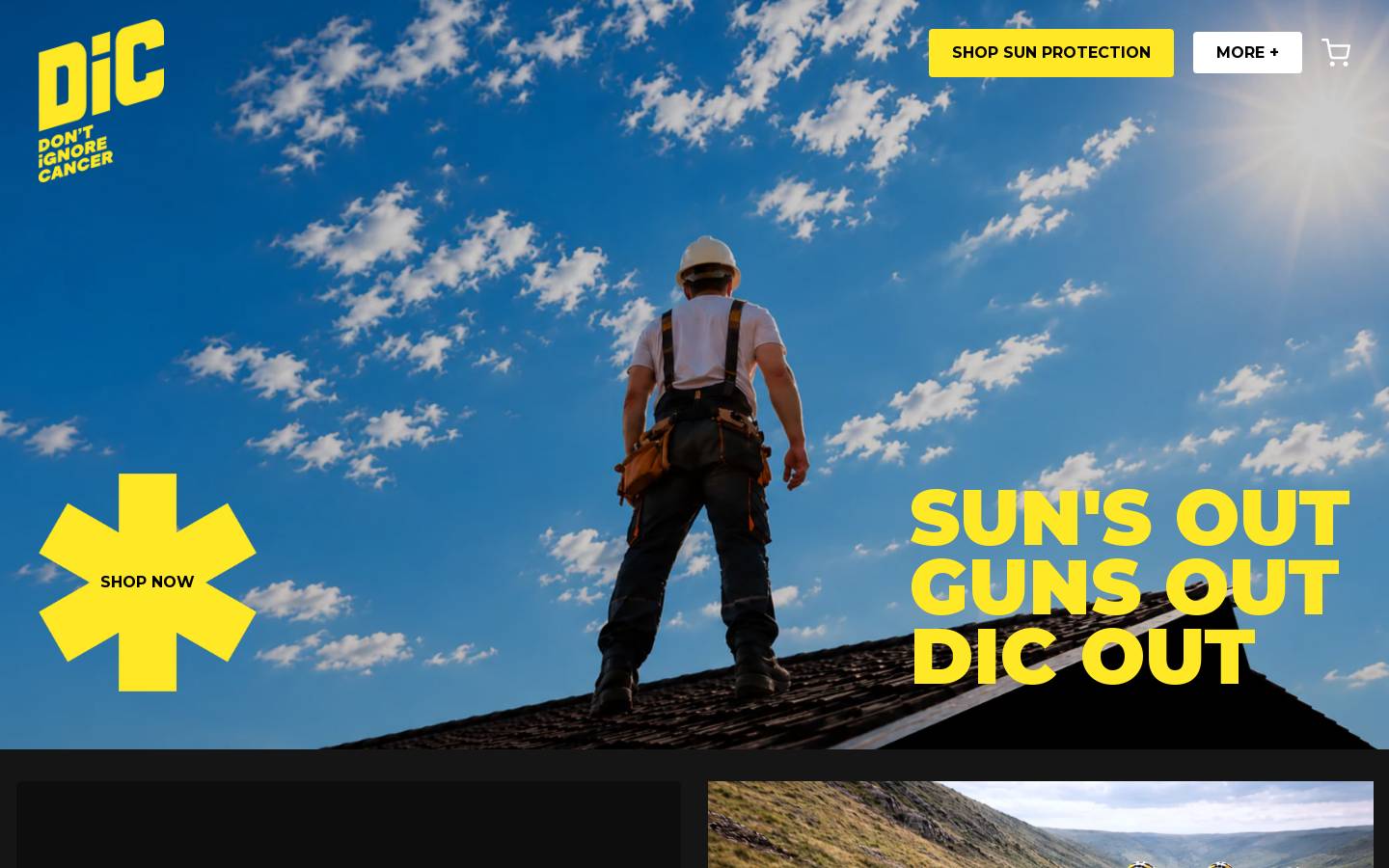 dicproducts.com homepage screenshot