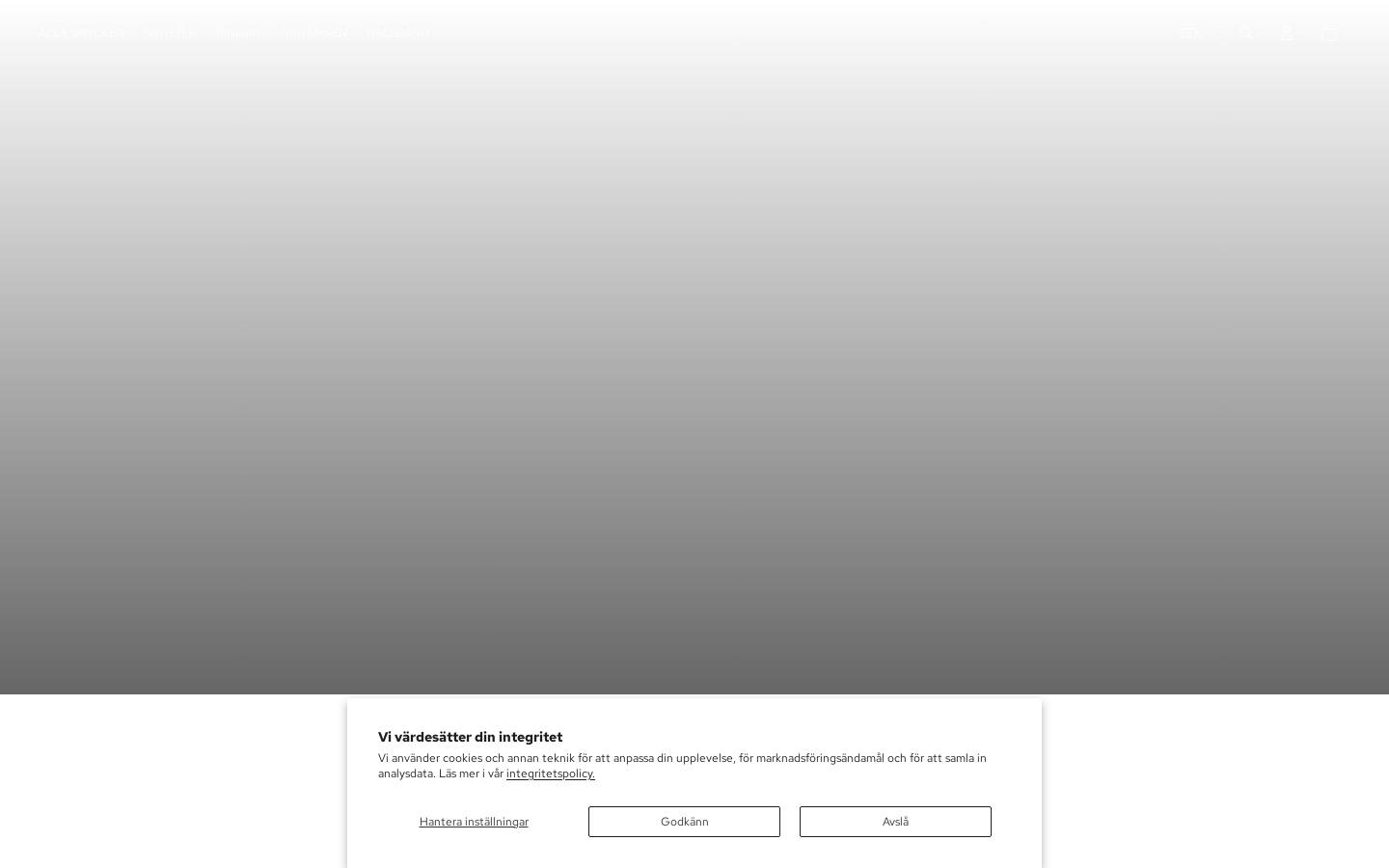dieva.se homepage screenshot