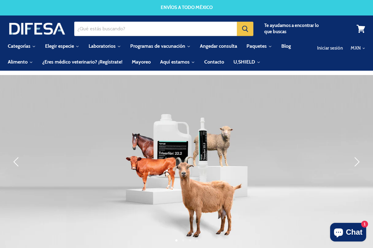 Difesa homepage screenshot