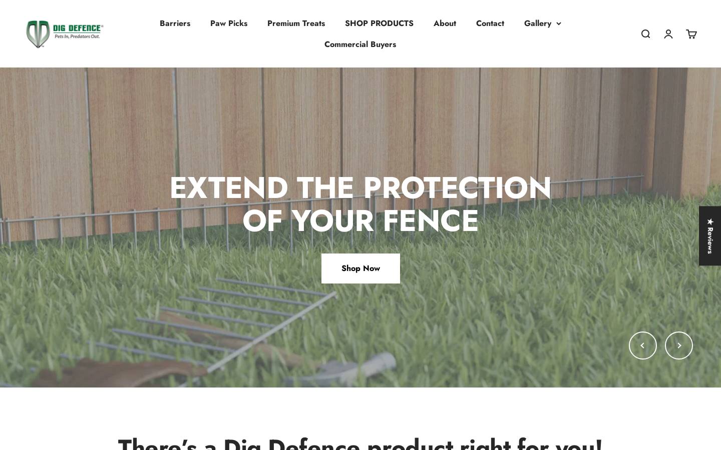 Dig Defence homepage screenshot