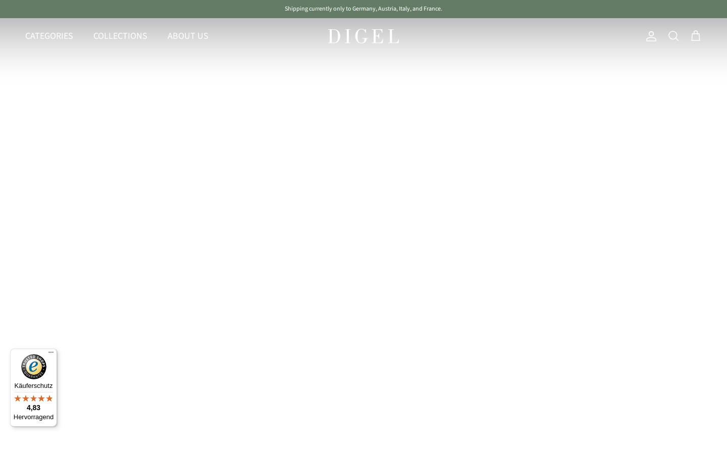 digel.com homepage screenshot