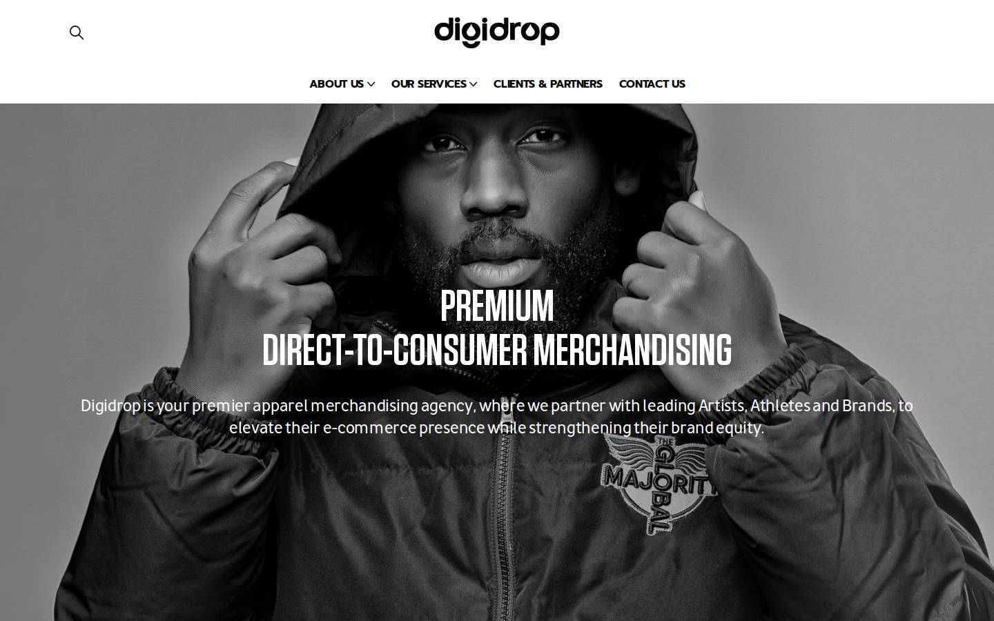 digidropinc.com homepage screenshot