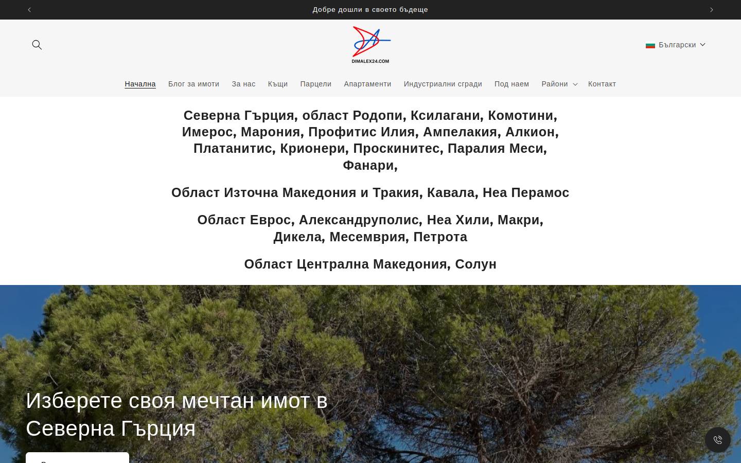 dimalex24.com homepage screenshot