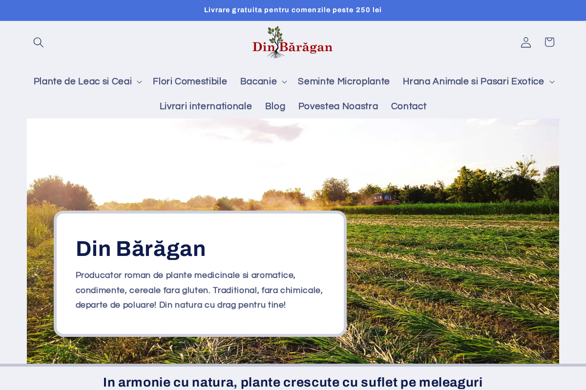 Din Baragan homepage screenshot