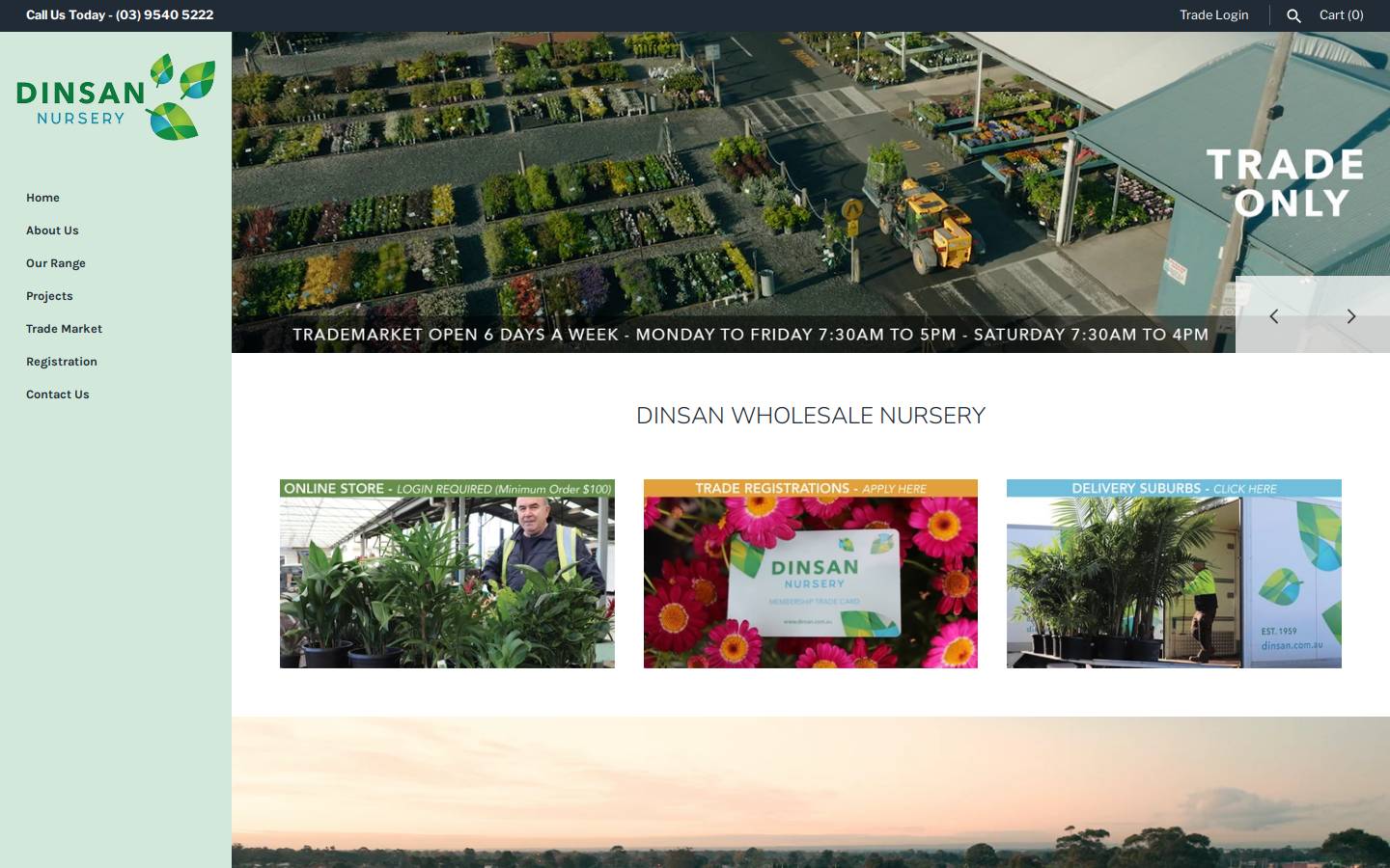 dinsan.com.au homepage screenshot