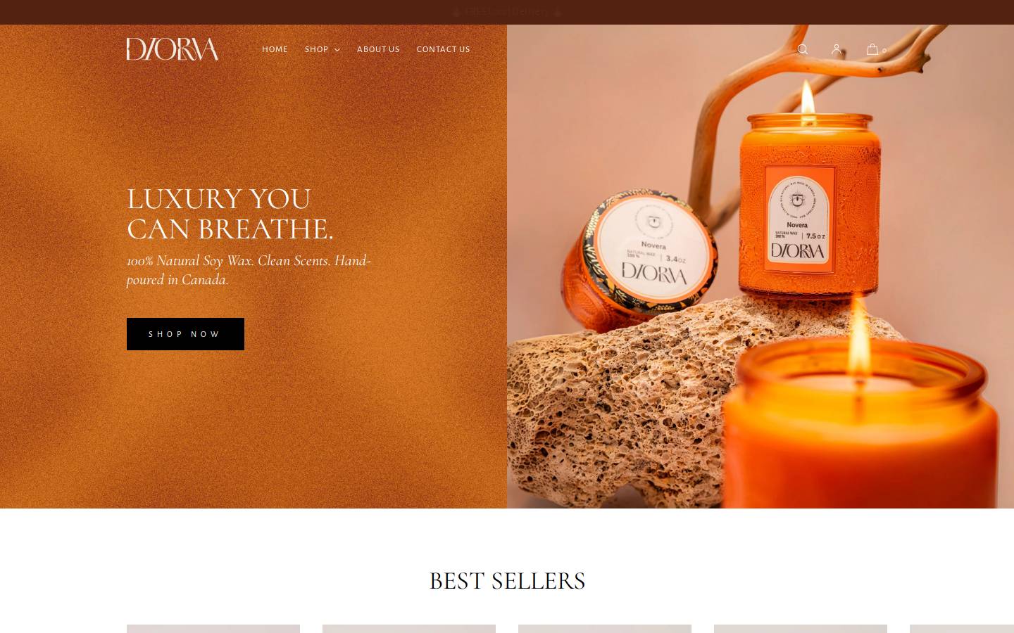 diorva.com homepage screenshot