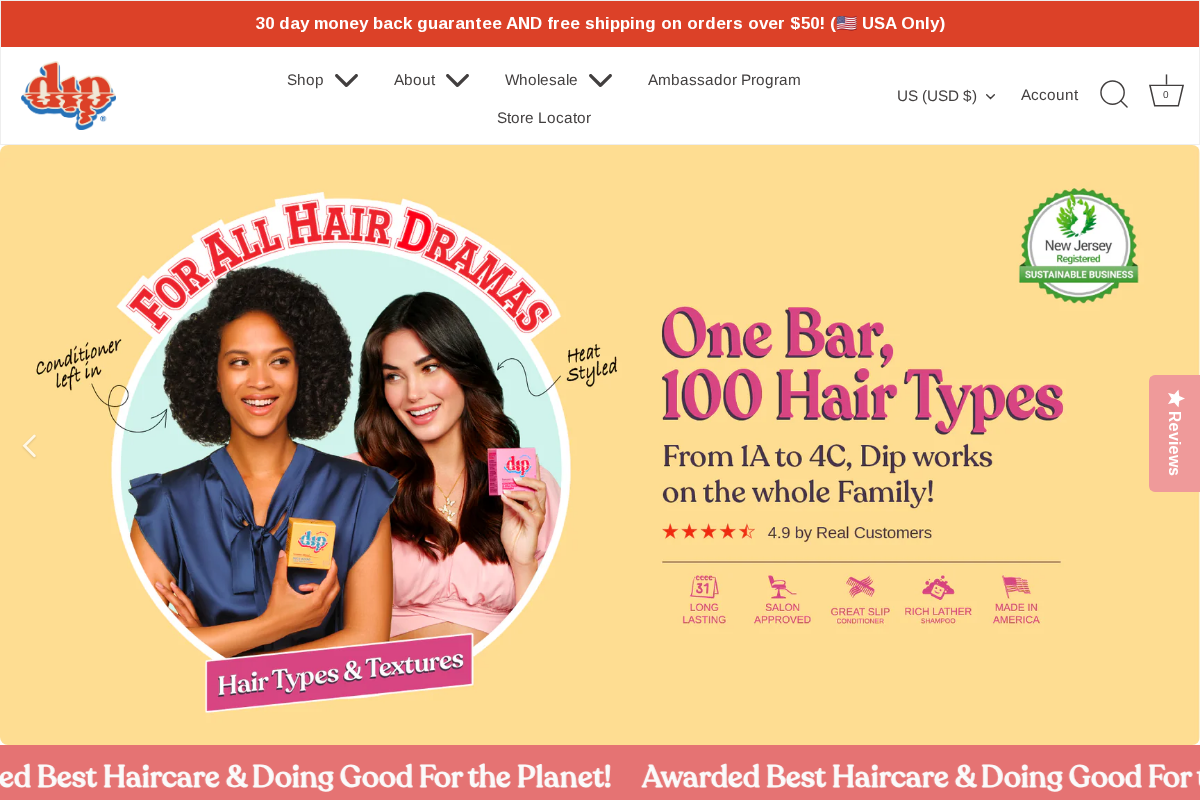 dip homepage screenshot