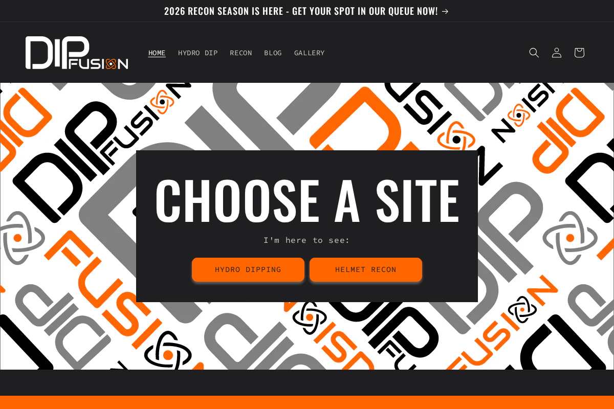 dipfusion.com homepage screenshot