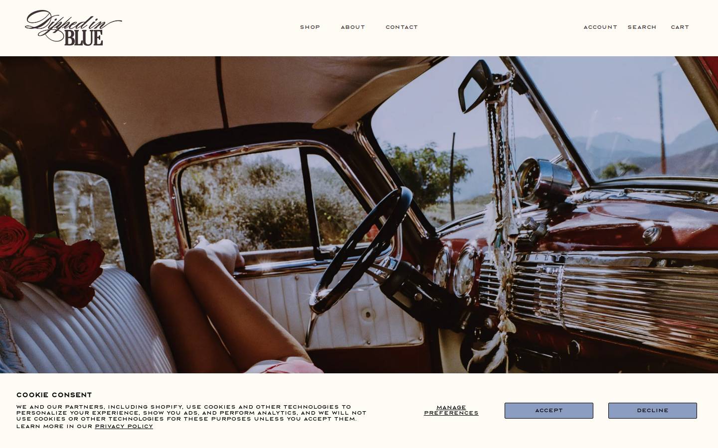dippedinbluebikinis.com homepage screenshot