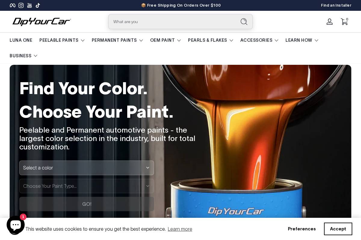 DipYourCar.com homepage screenshot