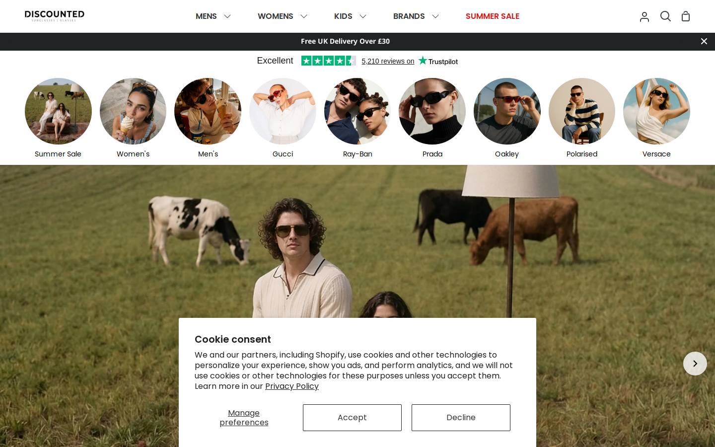 Discounted Sunglasses homepage screenshot