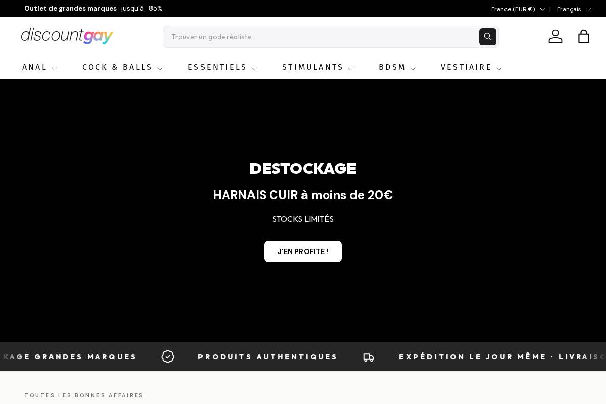 discountgay.fr homepage screenshot
