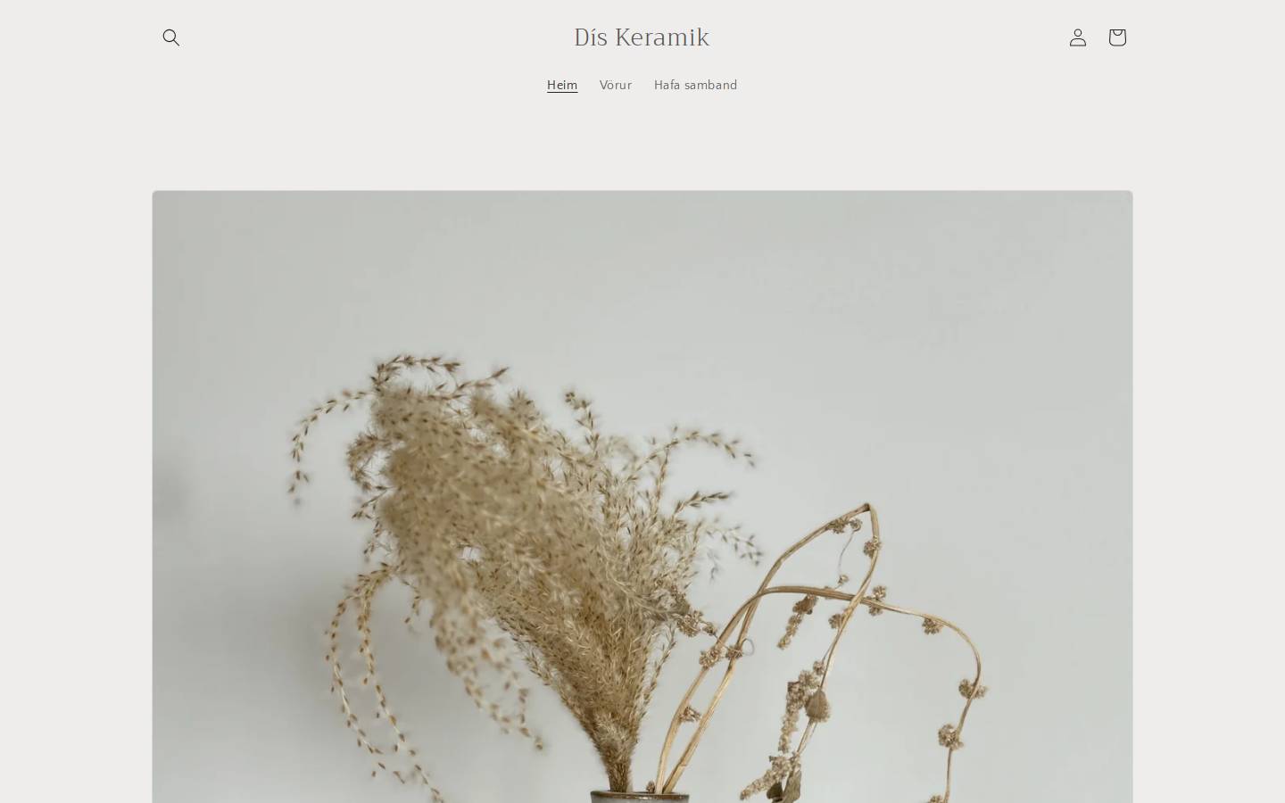 diskeramik.com homepage screenshot