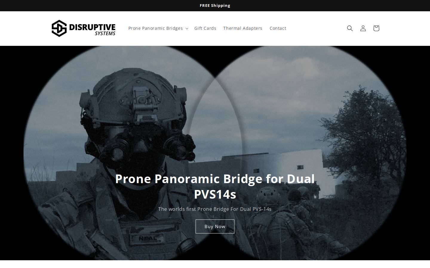disruptive-systems.com homepage screenshot