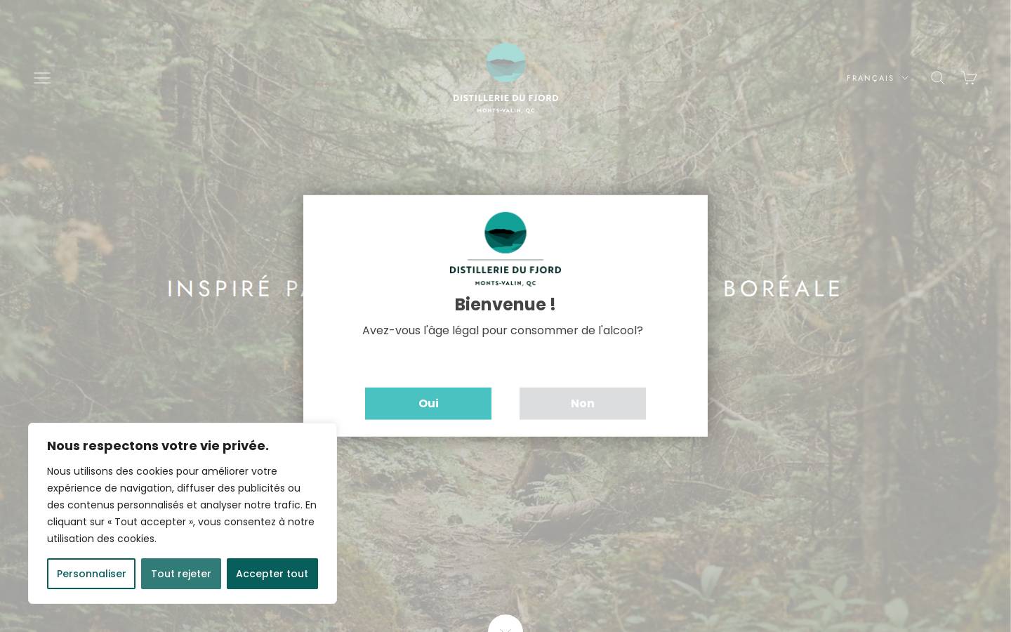 distilleriedufjord.com homepage screenshot