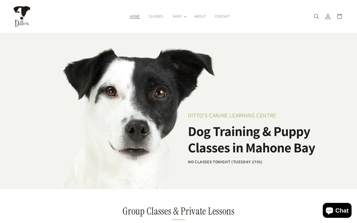 dittoscaninelearningcentre.com homepage screenshot