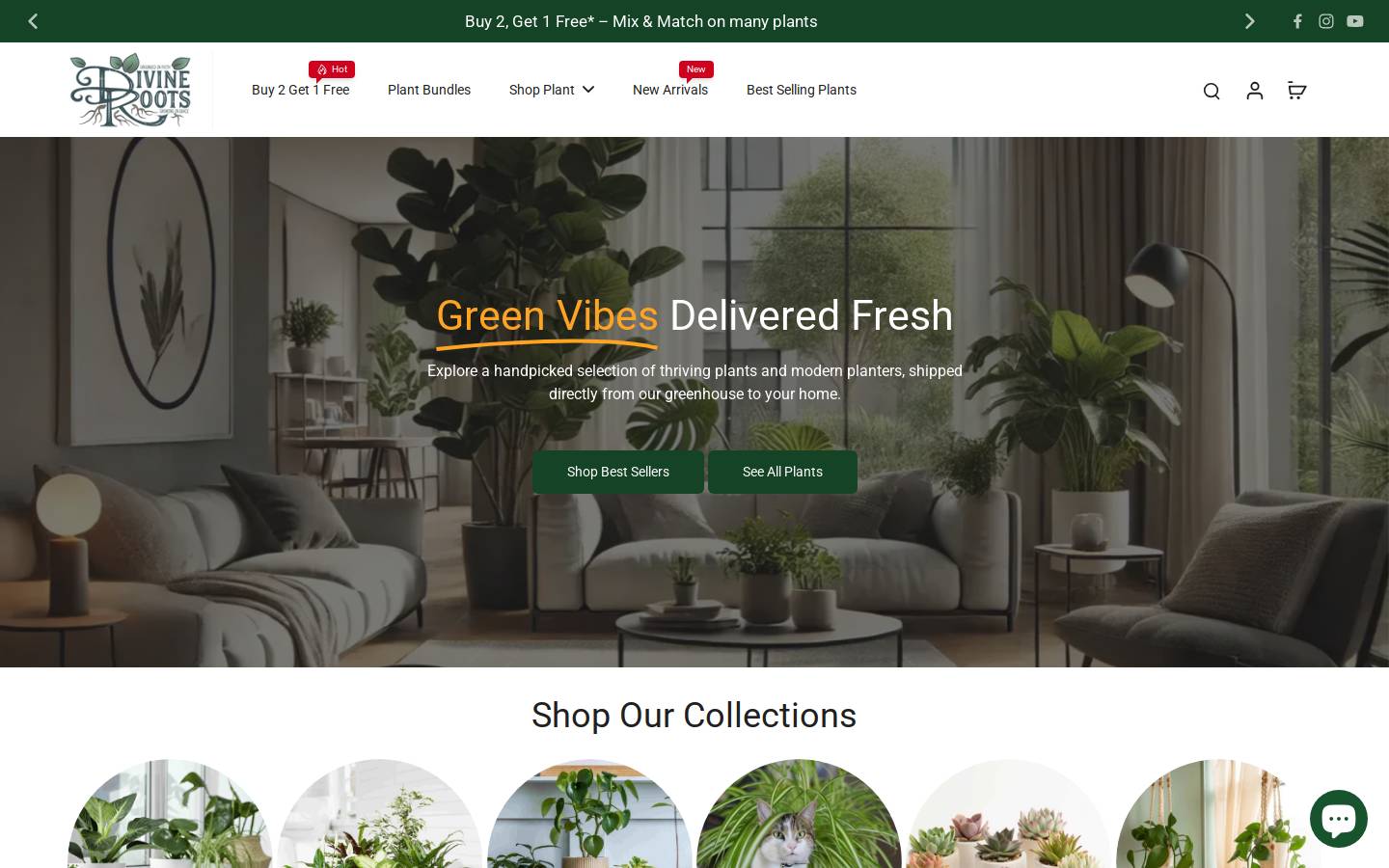 divine-roots.com homepage screenshot