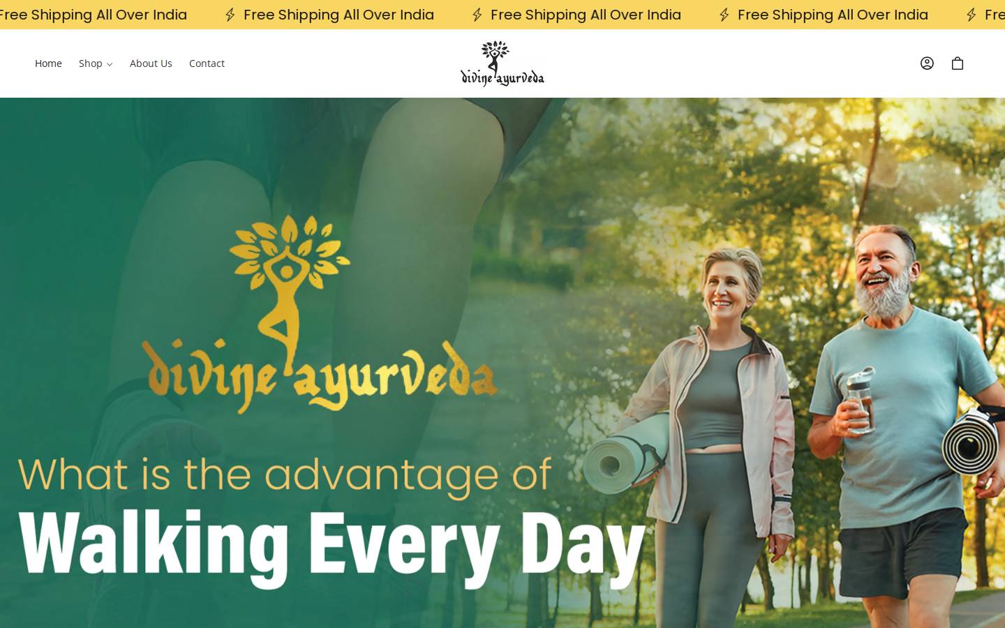 divineayurveda.in homepage screenshot