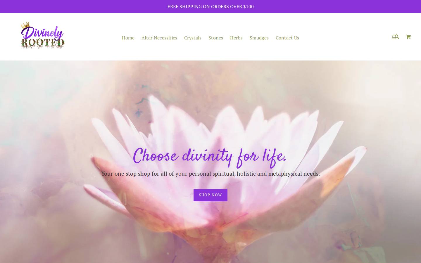 divinelyrooted.net homepage screenshot