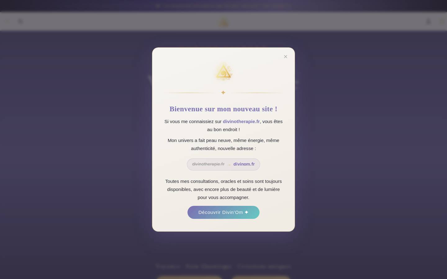 divinom.fr homepage screenshot