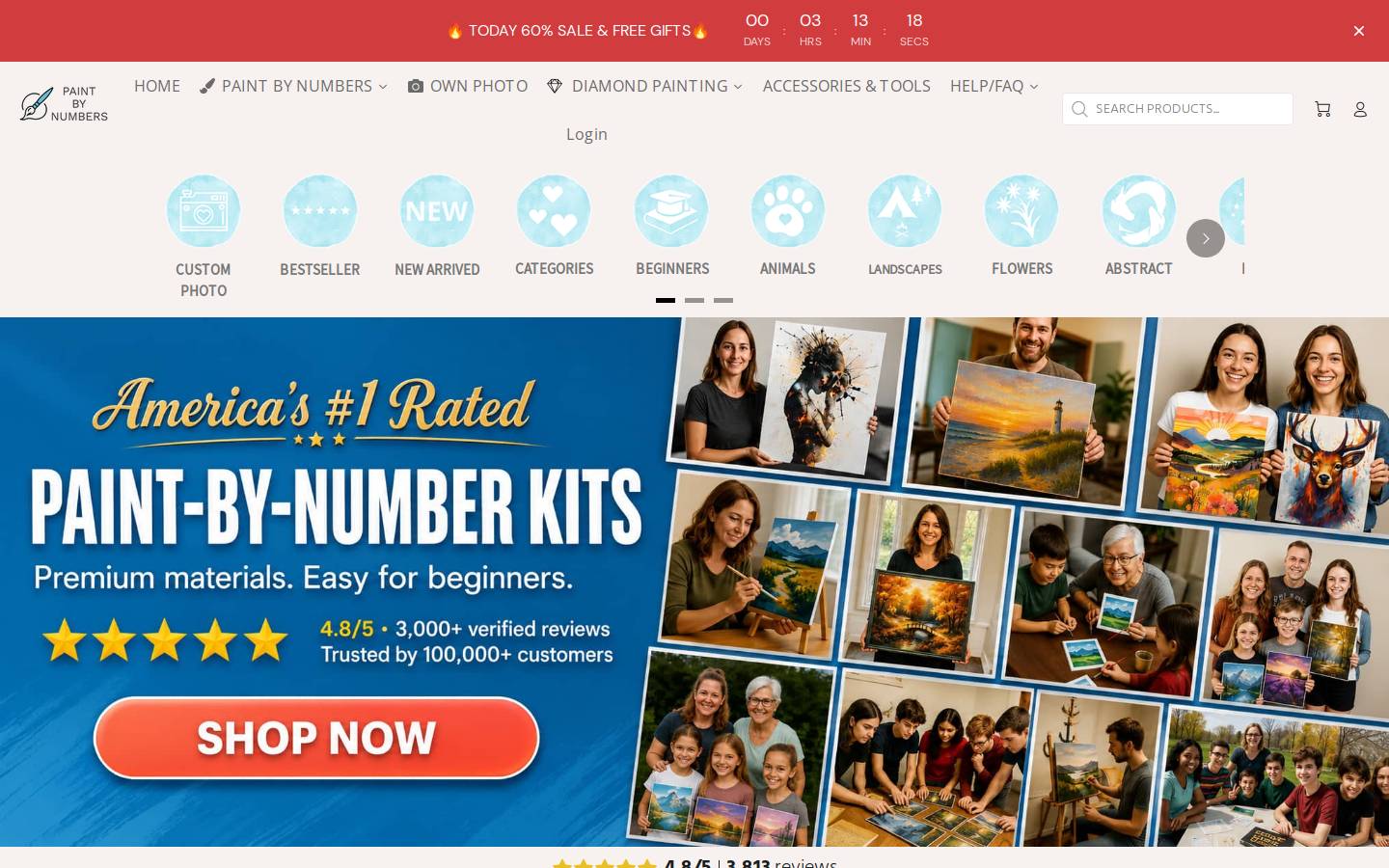 diy-paintbynumbers.com homepage screenshot