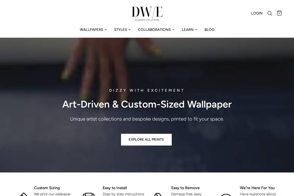 dizzywithexcitement.com homepage screenshot