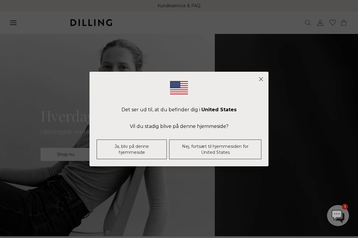 DILLING homepage screenshot