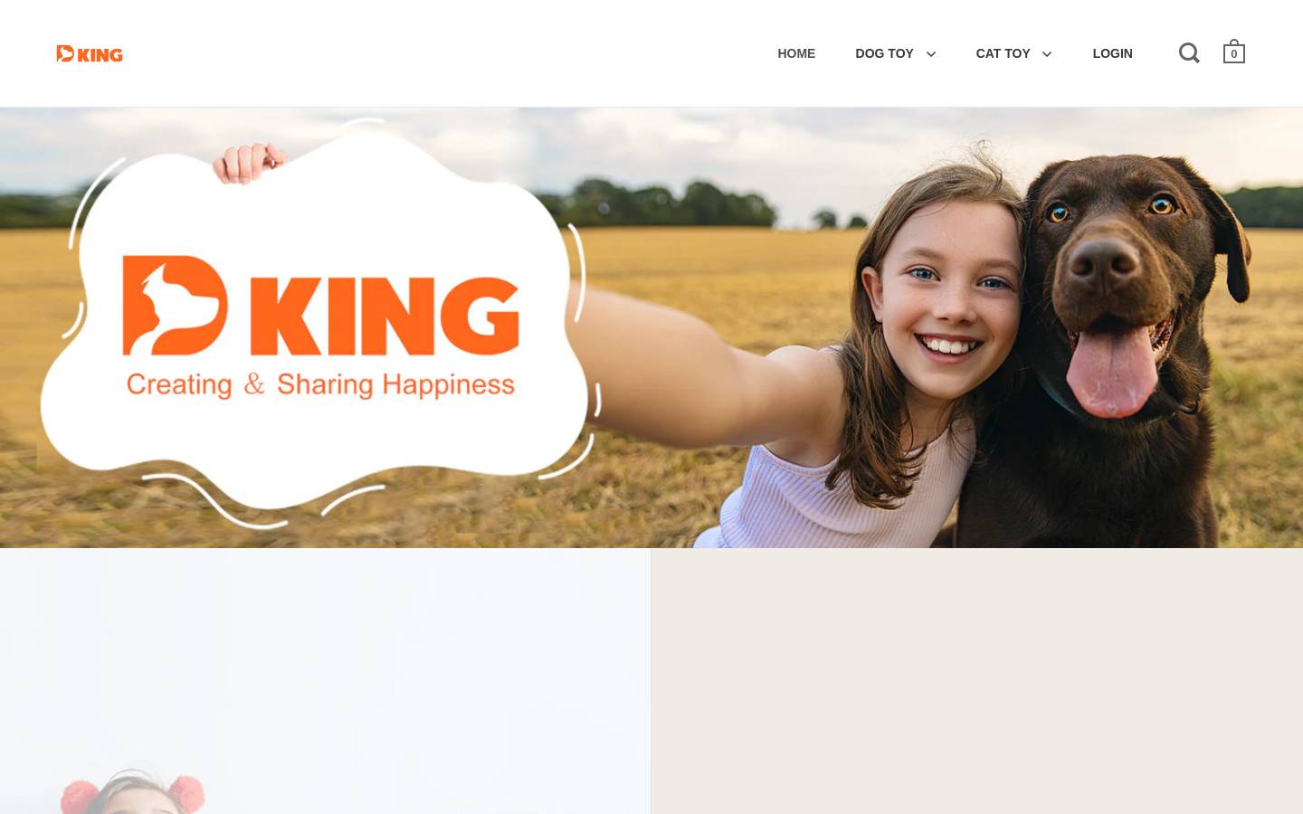 dkinglife.com homepage screenshot