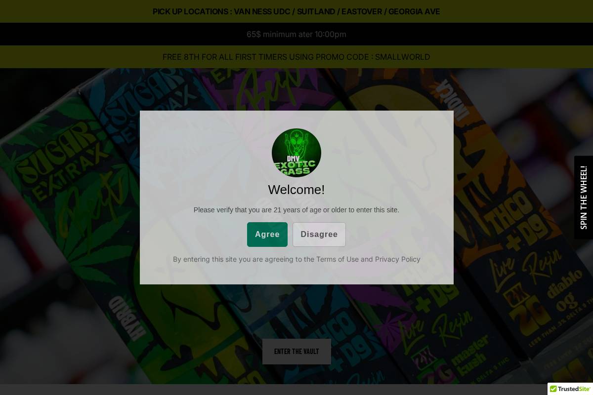 dmvexoticgass.com homepage screenshot