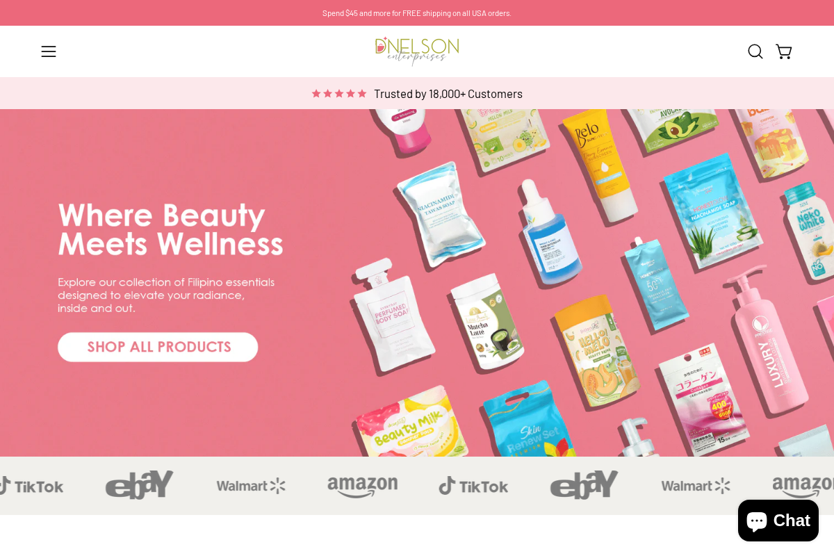 D Nelson Enterprises homepage screenshot