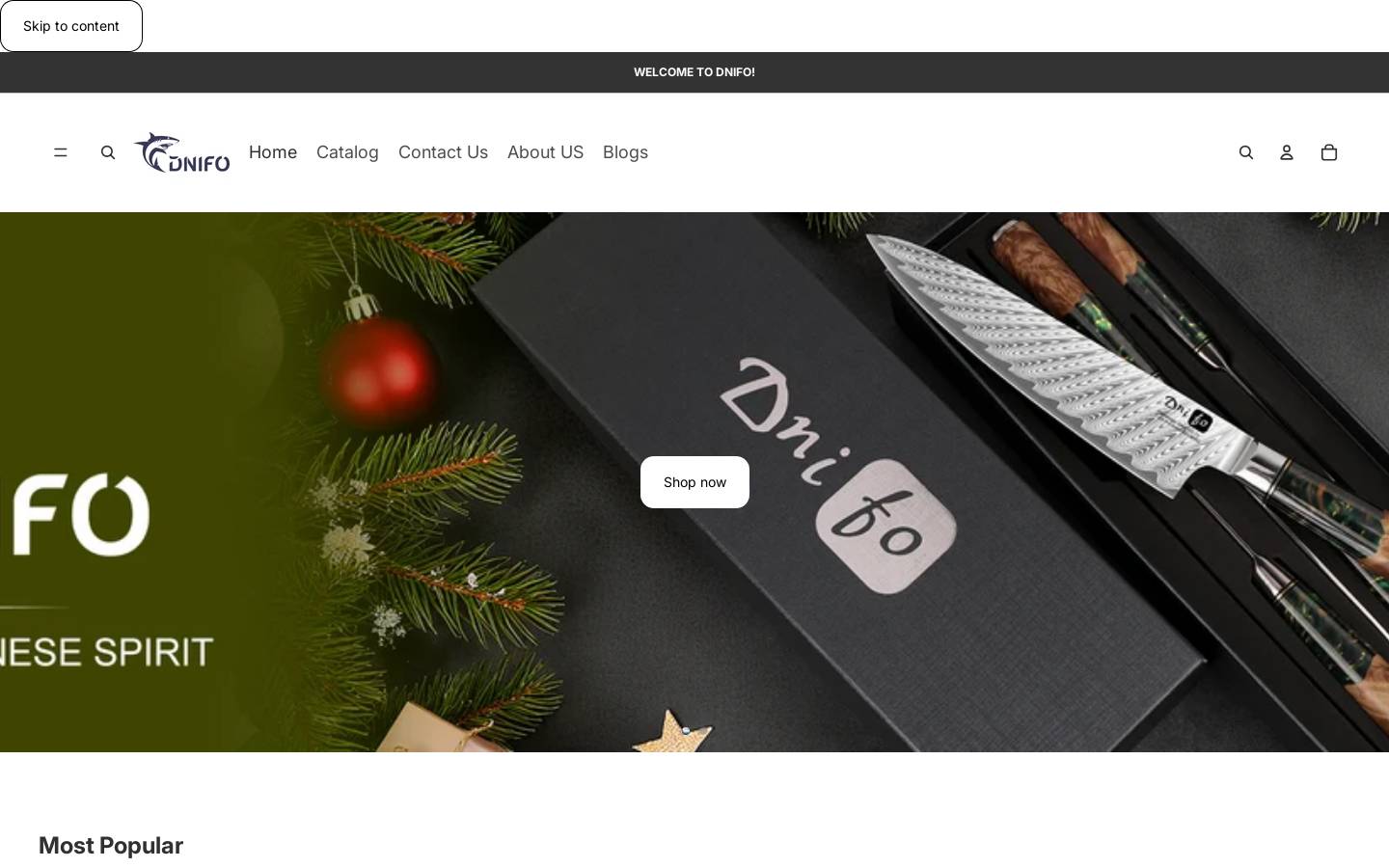 dnifo.com homepage screenshot