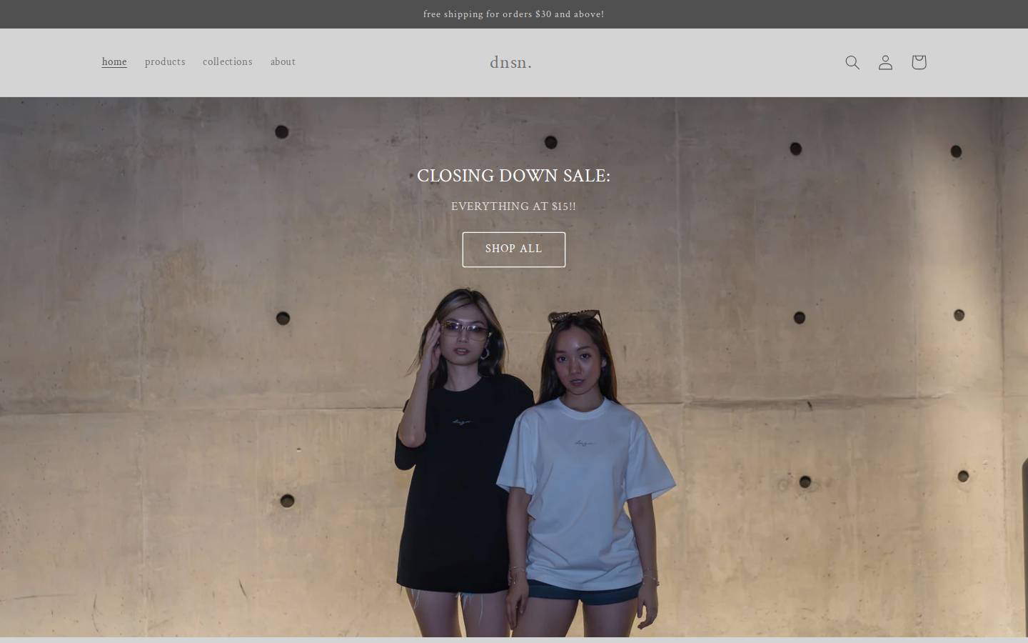 dnsn.co homepage screenshot