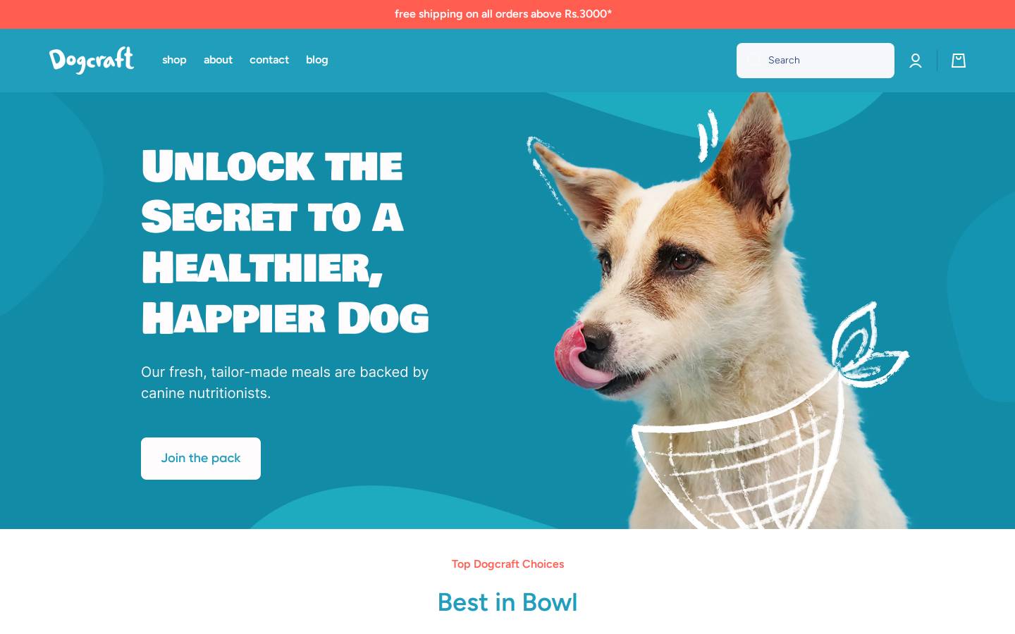 dogcraft.in homepage screenshot