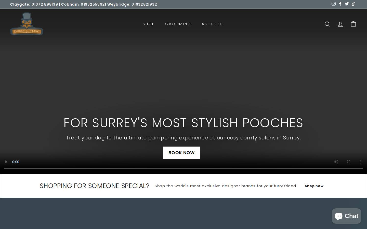 doggystyling.com homepage screenshot