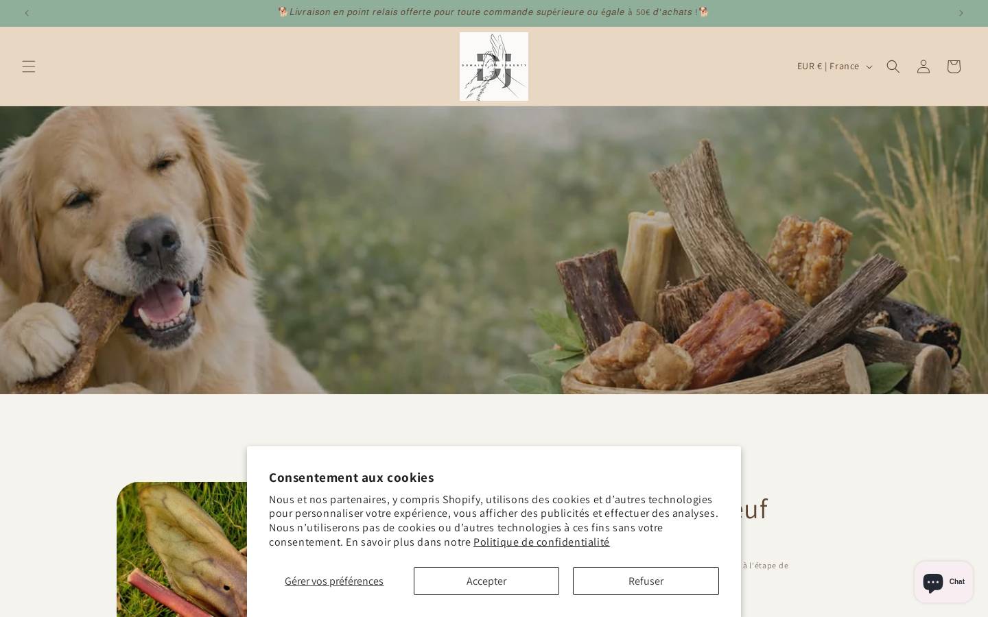 domainedejoberty.com homepage screenshot