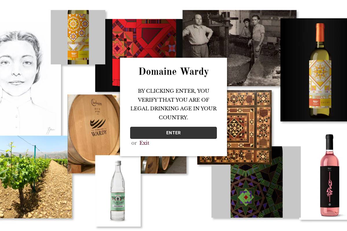 domainewardy.com homepage screenshot