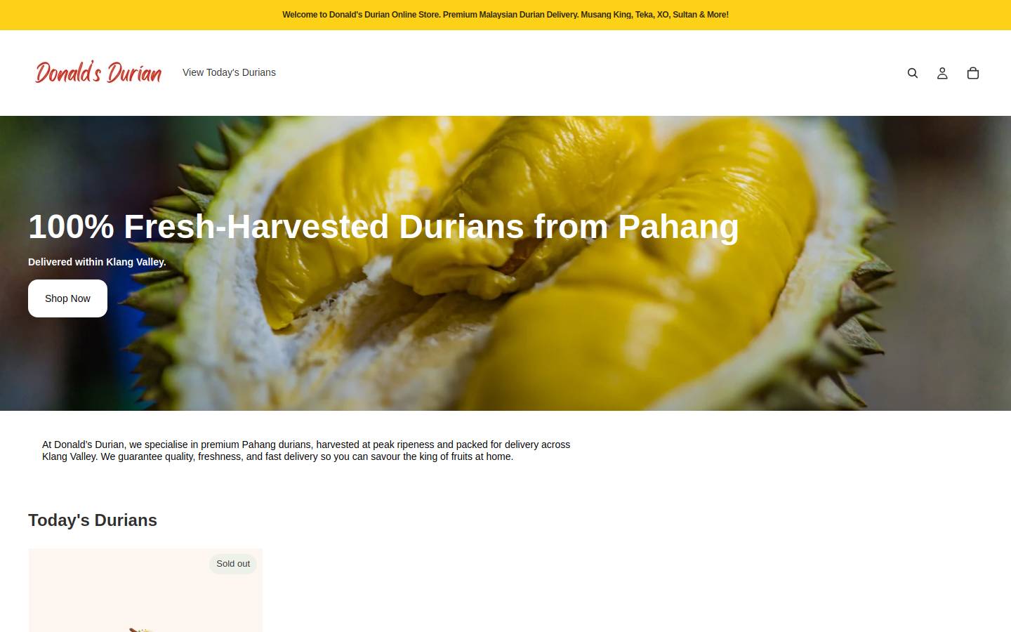 donaldsdurian.com homepage screenshot