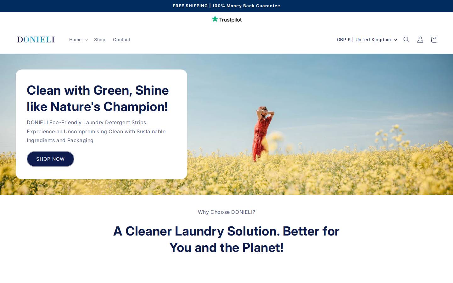 DONIELI homepage screenshot