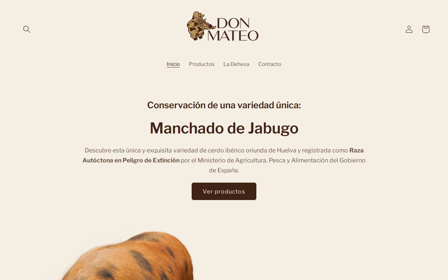 donmateo.io homepage screenshot