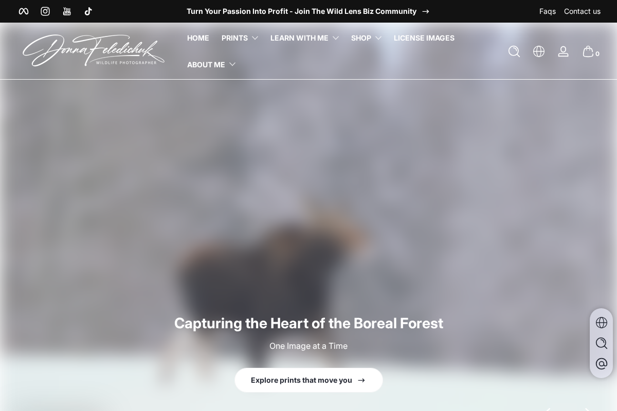 donnafeledichukphotography.com homepage screenshot