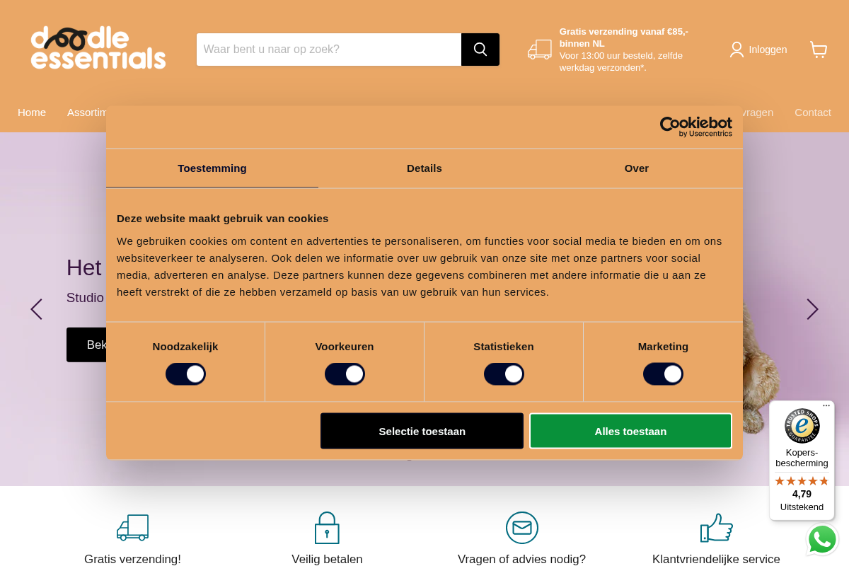 Doodle Essentials homepage screenshot