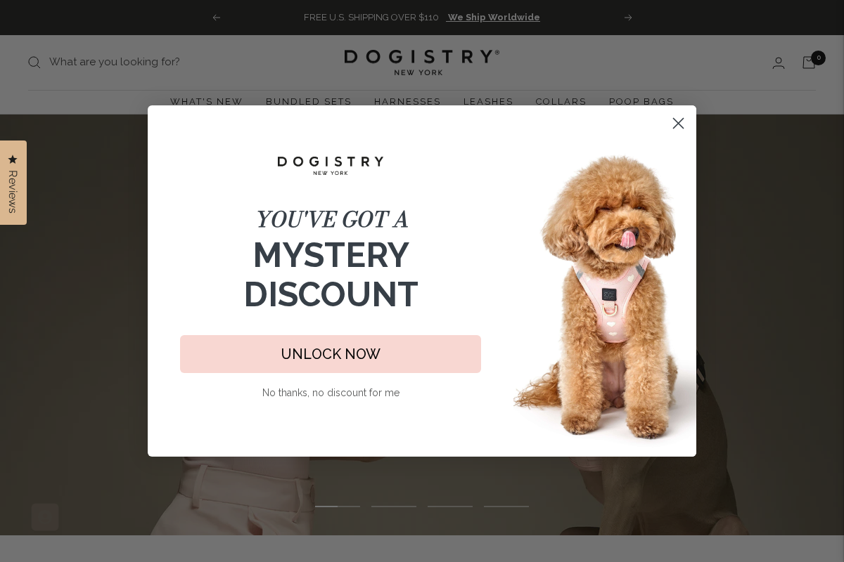 Dogistry™ homepage screenshot