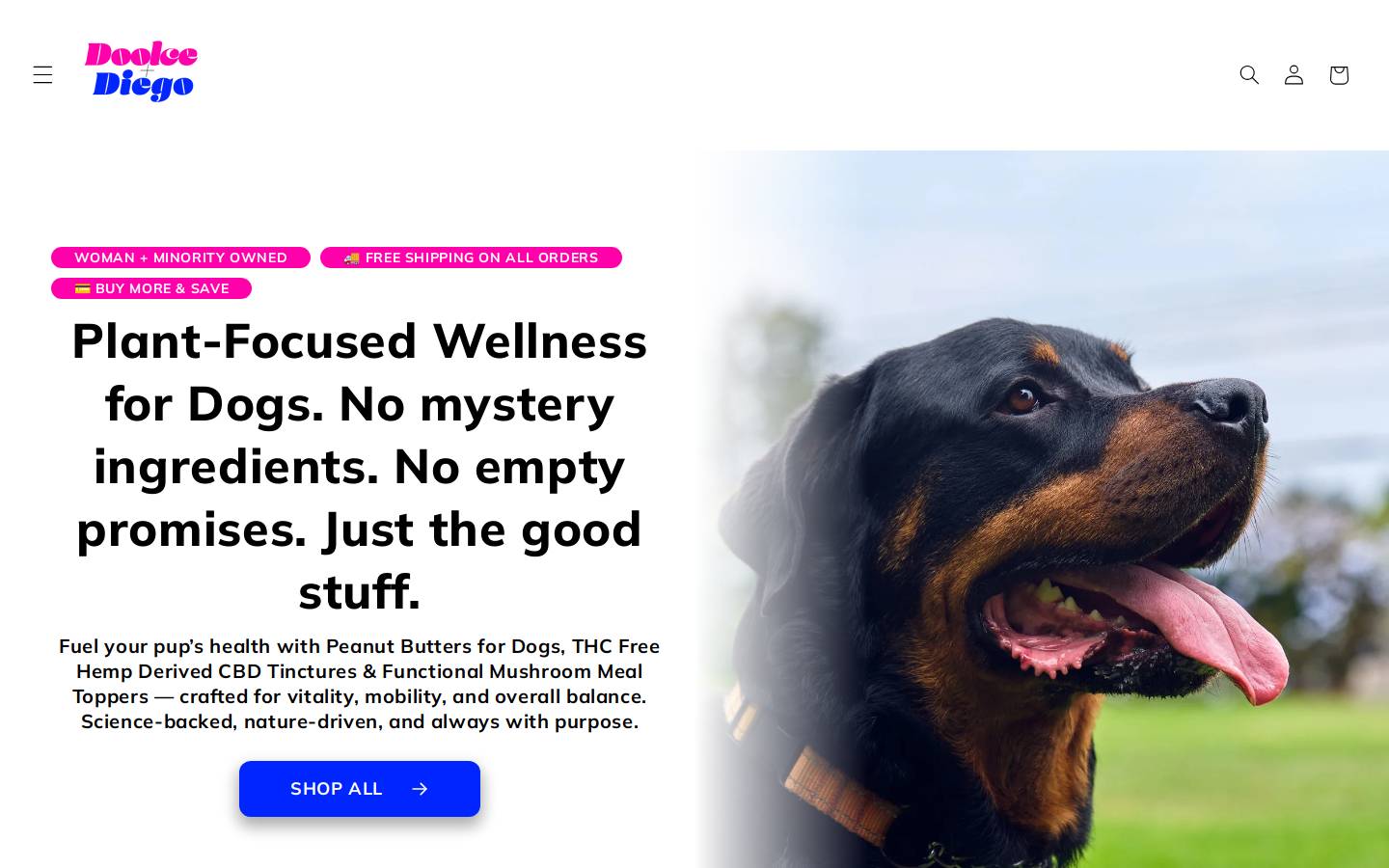 doolcediego.com homepage screenshot