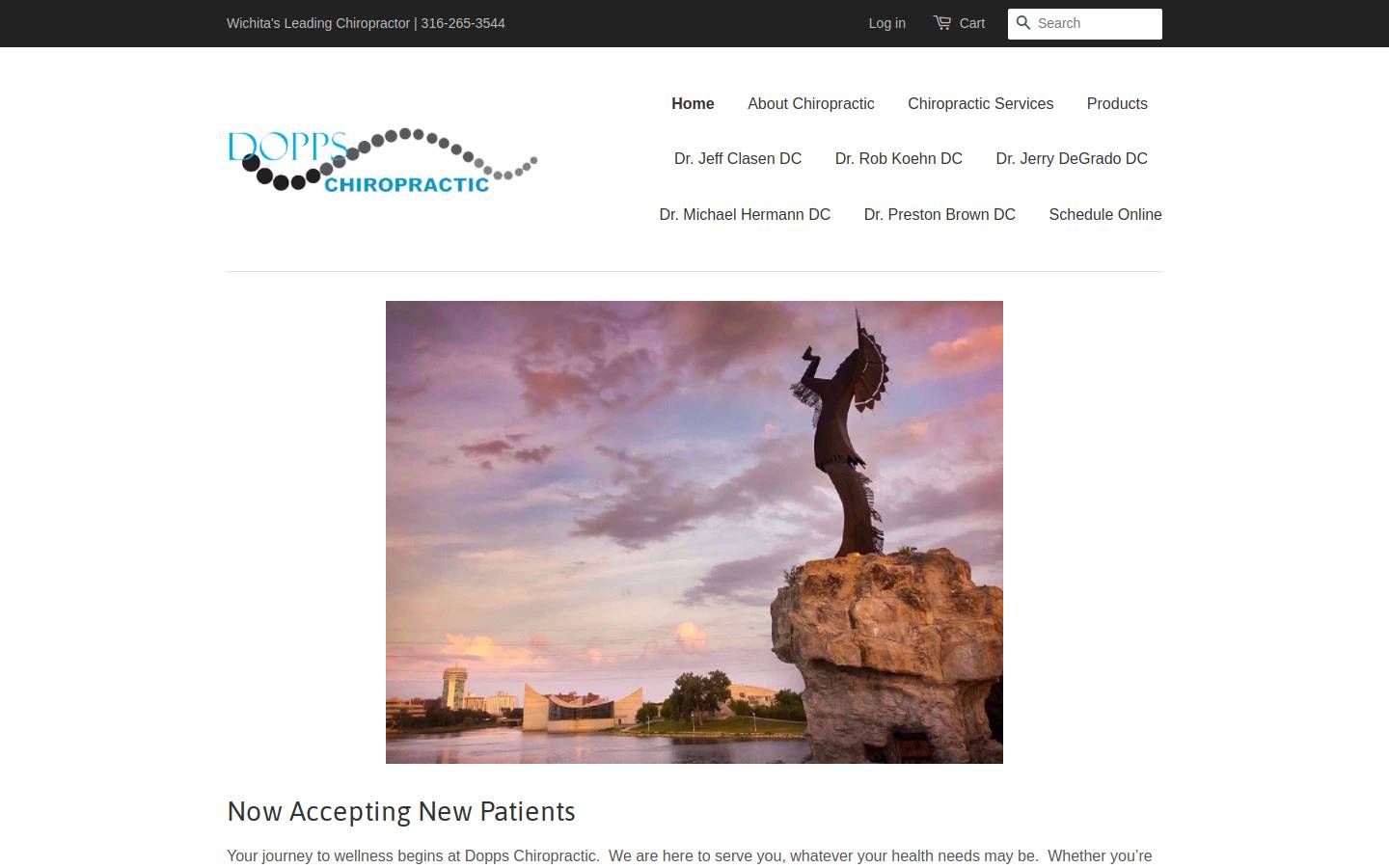 doppsclinic.com homepage screenshot